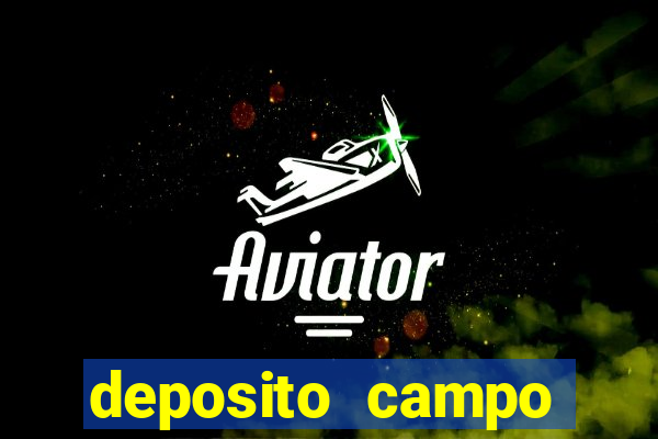 deposito campo grande santos